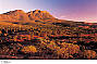 5 Day Flinders Ranges & Outback Inc Arkaroola (4nts Standard Motel Unit - Solo Traveller)