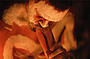 Aboriginal Performer